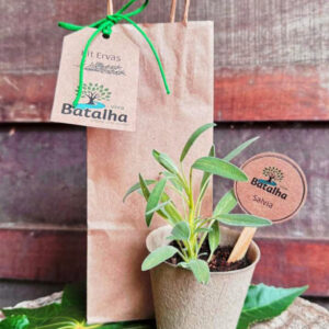 Kit Ervas Viva Batalha