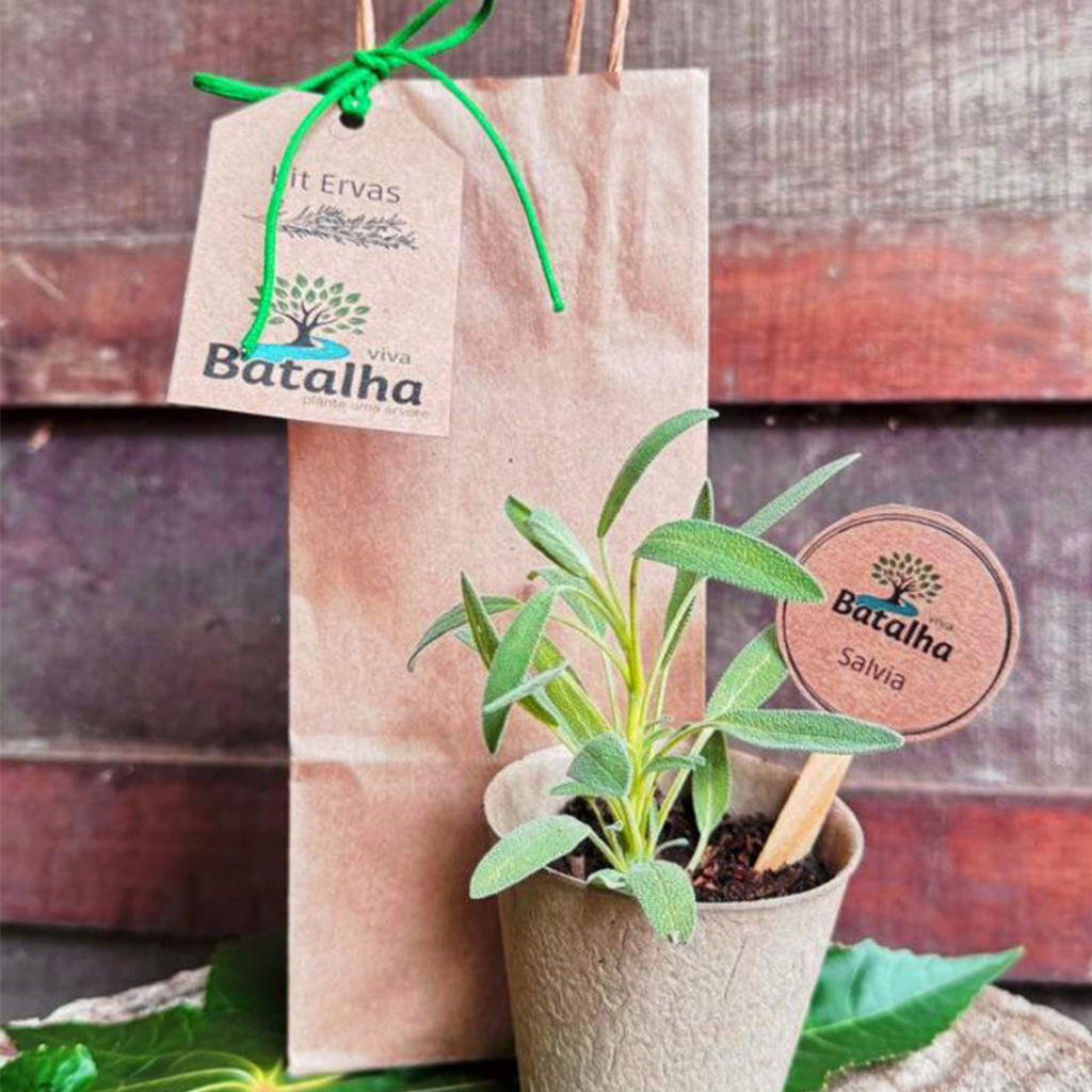 Kit Ervas Viva Batalha