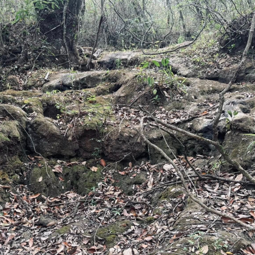 Novidades sobre o Rio Batalha